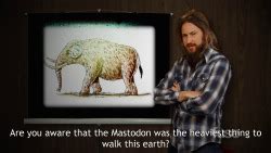 porn mastodon